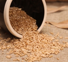 燕麦米的做法：一般人均可食用燕麦，特别适合于中老年人