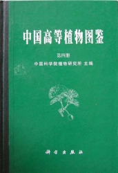 中国高等植物