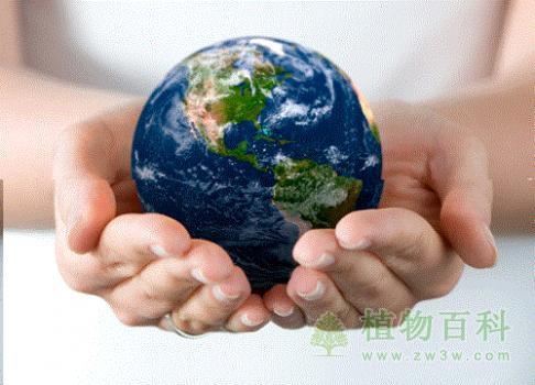 你知道世界环境日吗？