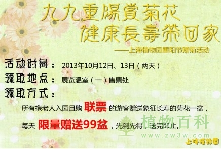 上海植物园邀您重阳节来赏菊