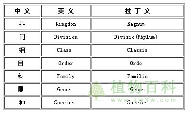 植物分类