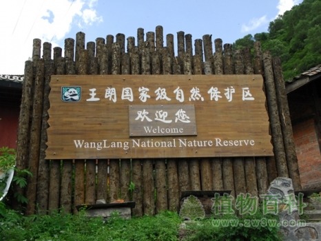 四川王朗国家级自然保护区