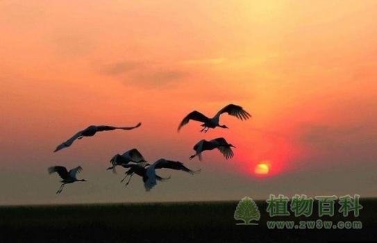 中国自然保护区的类型