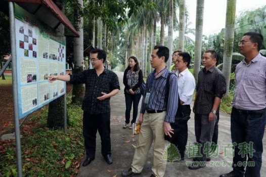 南亚热带植物园环保教育基地通过验收