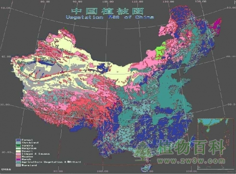 多彩的中国植被分布格局