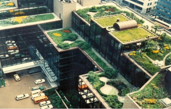 屋顶绿化惊艳世博，花园城市还靠科技