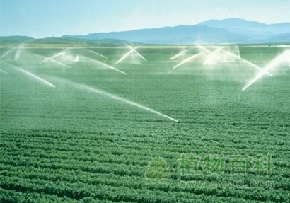 节水灌溉技术
