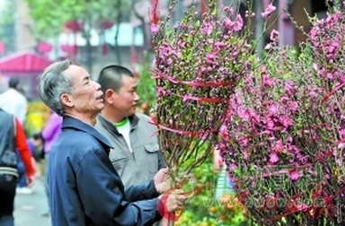 花城广州年花市场有何反应？