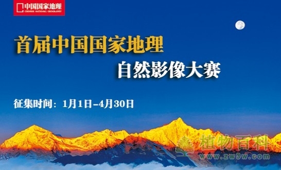 中国国家地理自然影像大赛