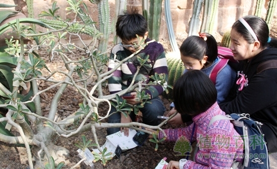 第一期“科学种子科普行”在上海辰山植物园举行