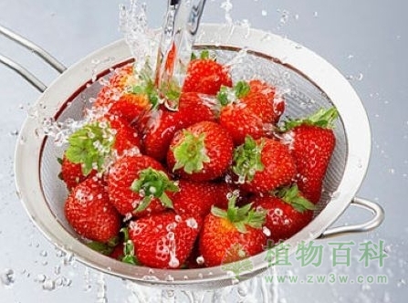 如何洗草莓