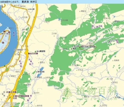 【重庆南山植物园地理位置】