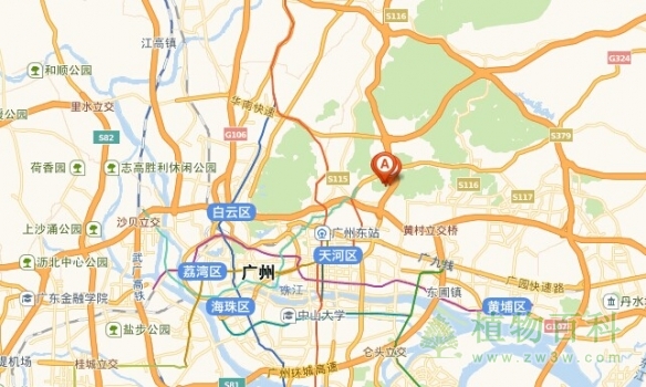 [广州华南植物园在哪里]广州华南植物园怎么去