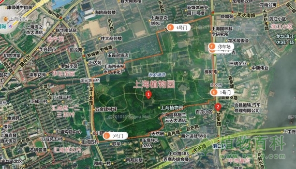 【上海植物园地理位置】