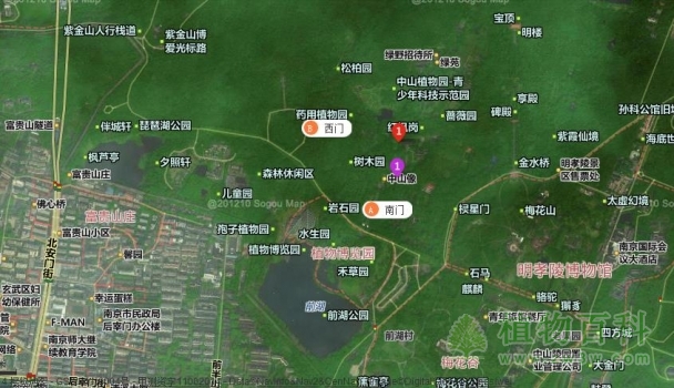【南京中山植物园地理位置】