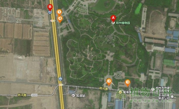 郑州植物园地址图