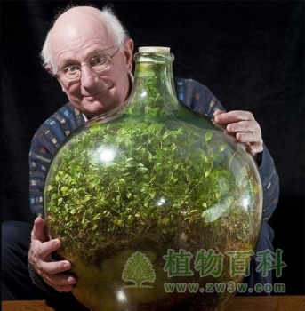 大卫·拉蒂默与他的巨型玻璃瓶