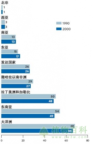 森林与绿地