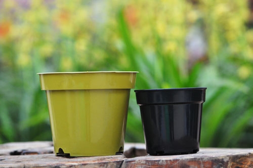 怎样选择花盆：陶盆|瓷盆|塑料盆