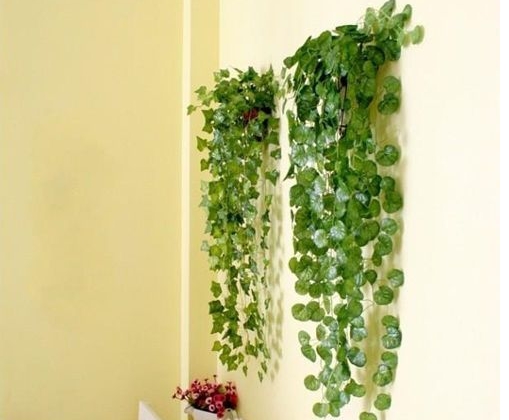 垂长的植物壁挂