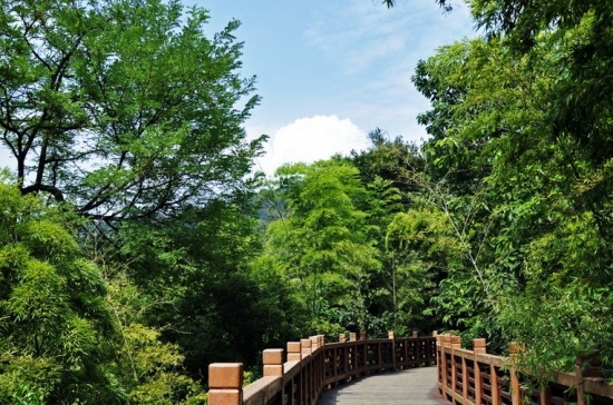 中山植物园内景