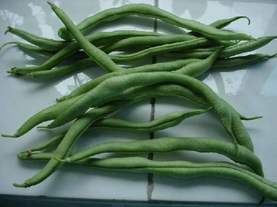 四季豆的营养价值：常食可健脾胃增食欲