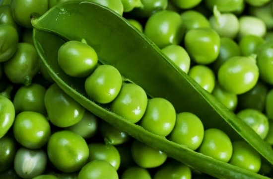 豌豆的营养价值：豌豆富含其他粮食所没有的赖氨酸
