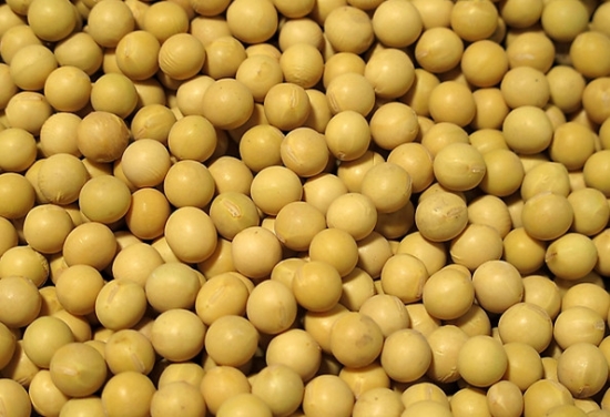 黄豆价格：一般3元/斤