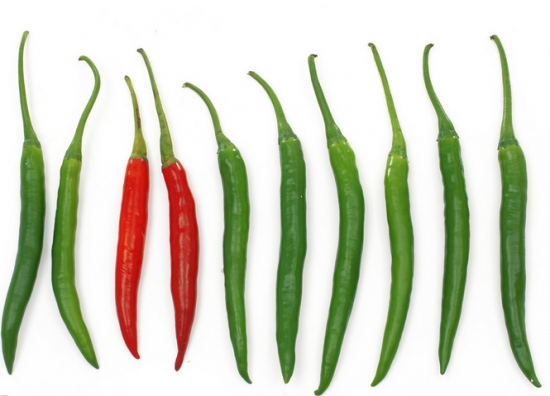 辣椒什么时候种植：可分为春植和秋植