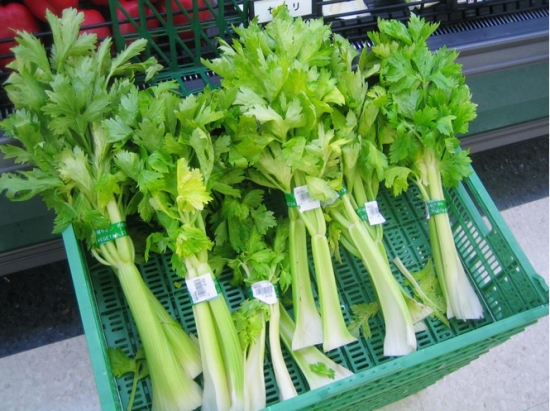 芹菜什么时候种植：春季温室栽培育苗