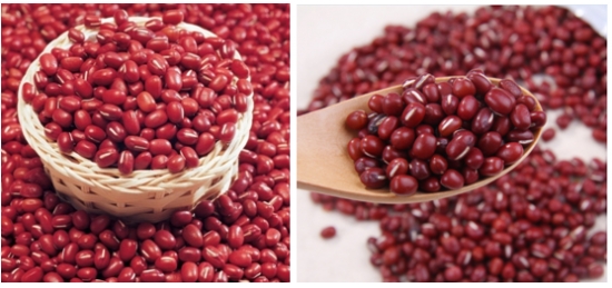 左图为赤小豆，右图为红豆