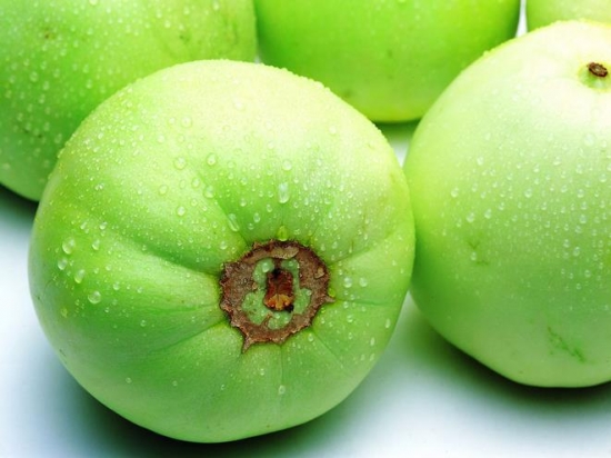 香瓜种植技术：五种香瓜的种植要点