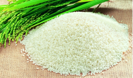 大米的营养价值：补中益气、健脾养胃
