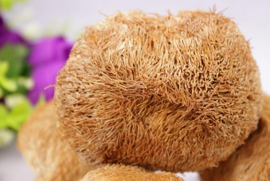 猴头菇的功效与作用：健脾养胃、抵抗肿瘤