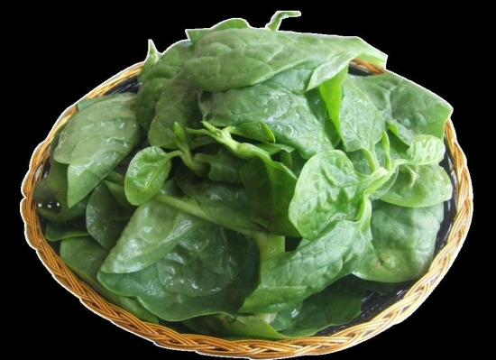 木耳菜的营养价值：木耳菜中钙、铁等元素含量最高