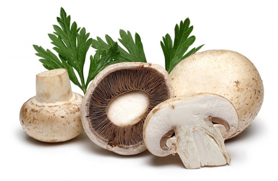 蘑菇的种类：常见食用蘑菇简介