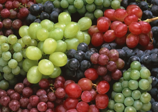 各种葡萄