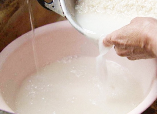 淘米水怎么浇花：用淘米水浇花之前要先发酵