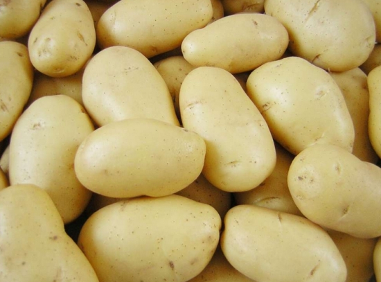 马铃薯是土豆吗：马铃薯又叫土豆​，茄科多年生草本植物