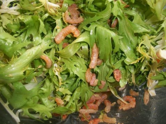虾米拌苦苣菜