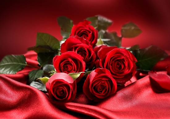 一束玫瑰花多少钱：一束11朵的玫瑰花价格在80~120元左右