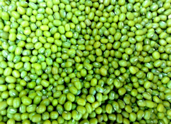 绿豆不能和什么一起吃：绿豆与榧子同食，多食能致死