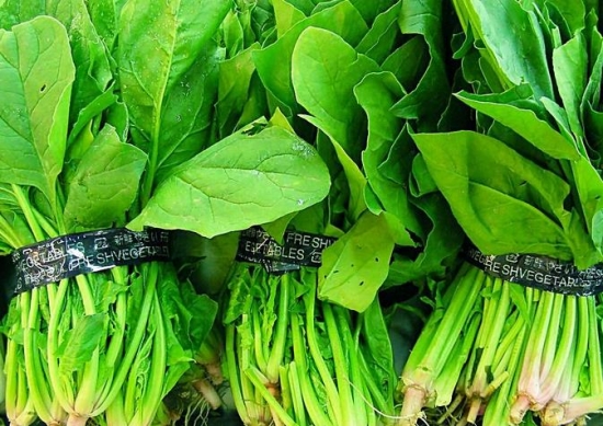 产妇能吃菠菜吗：可以，能提供丰富的维生素和矿物质