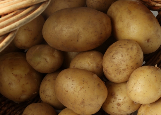 马铃薯的价格：批发价一般为1.5/斤