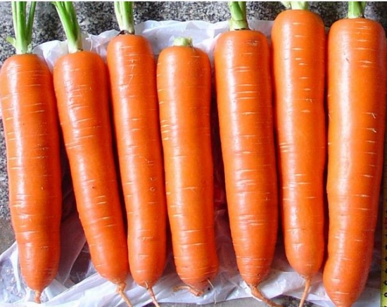 吃胡萝卜能减肥吗：可以，有燃脂刮油效果