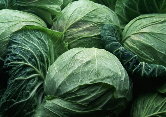 什么是卷心菜：一种富含水分和维生素C的蔬菜
