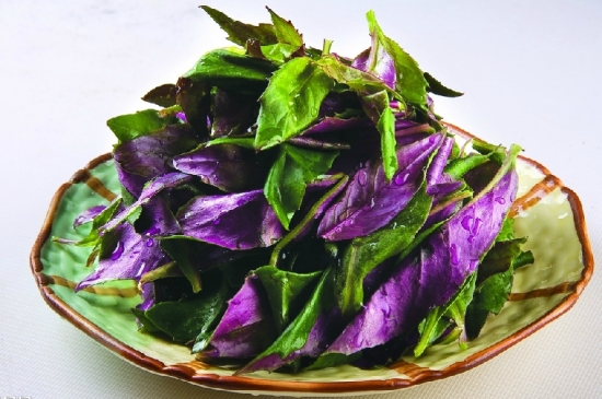 紫背天葵的做法