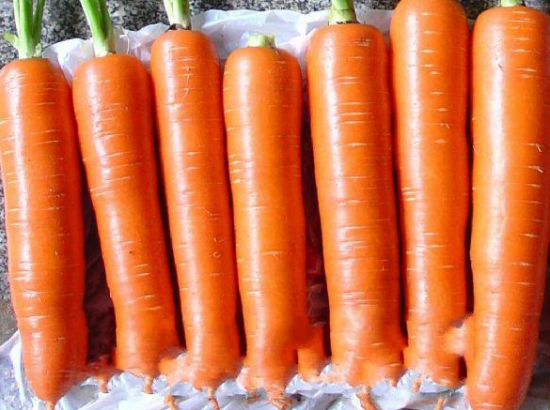白萝卜和胡萝卜能一起吃吗：不可以，胡萝卜会破坏白萝卜的维生素C