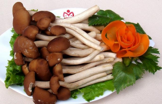茶树菇的价格：干品比鲜品贵，鲜品价格在10元/kg左右
