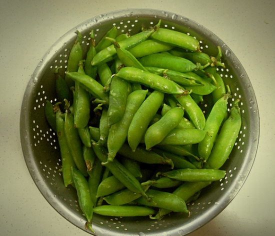 罗汉豆是什么豆：别称蚕豆，是一种粮食、蔬菜和饲料、绿肥兼用作物